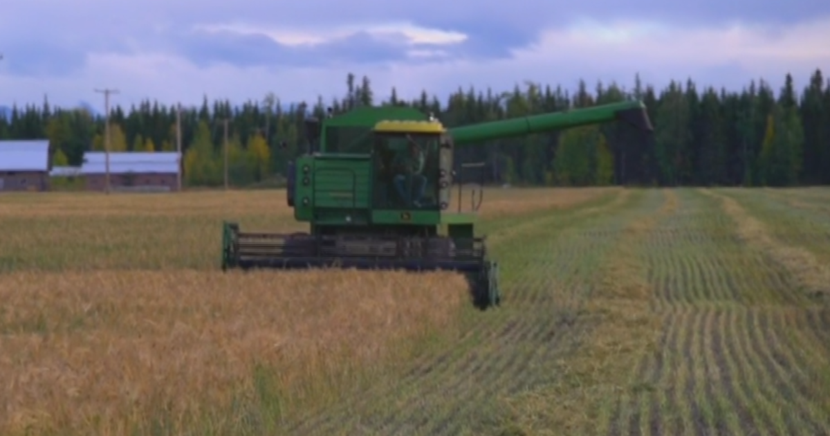 Alaska gambles on turning boreal forest into farmland