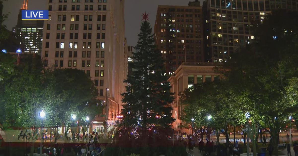 Spectators gather, take in the music ahead of Chicago's Millennium Park