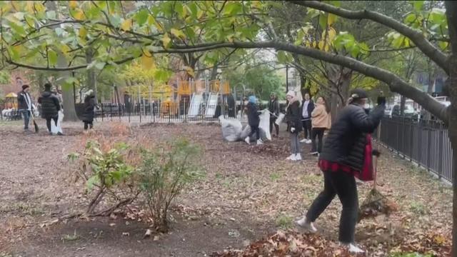 tompkins-square-park-cleanup-carlin.jpg 