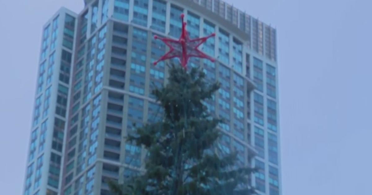 Crowds gathered for Chicago's Millennium Park tree lighting ceremony