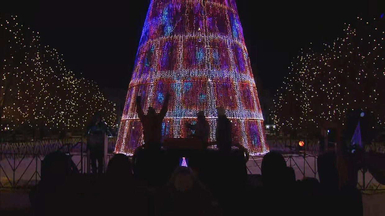 Mile High Tree lights up downtown Denver for 4th year CBS Colorado