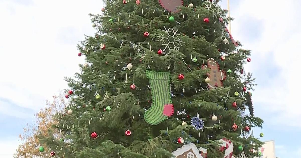 Christmas tree lighting ceremony in Old Sacramento to start tonight