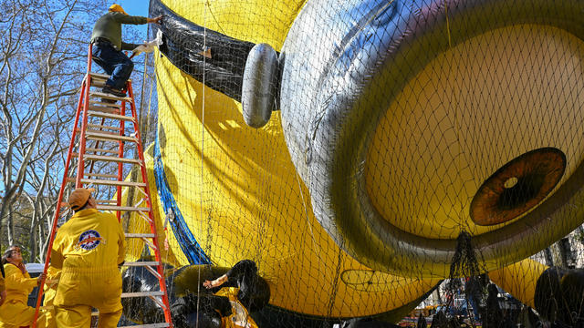 The Macy's Inflation Team prepare the Stuart The Minion balloon ahead of the 96th Macy's Thanksgiving Day Parade on the Upper West Side on November 23, 2022 in New York City. 
