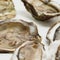 Oysters recalled after norovirus outbreak sickens at least 211 people