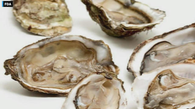 oysters.jpg 