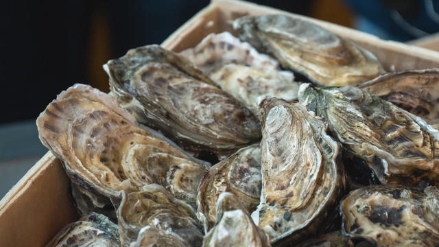 Oysters for sale at the seafood market 