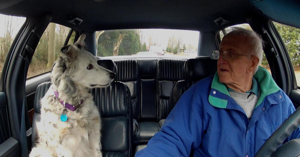 From the archive: 60 Minutes investigates whether your dog really loves you