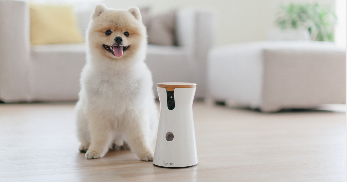 Amazon Black Friday pet deal Treat your dog with a Furbo pet