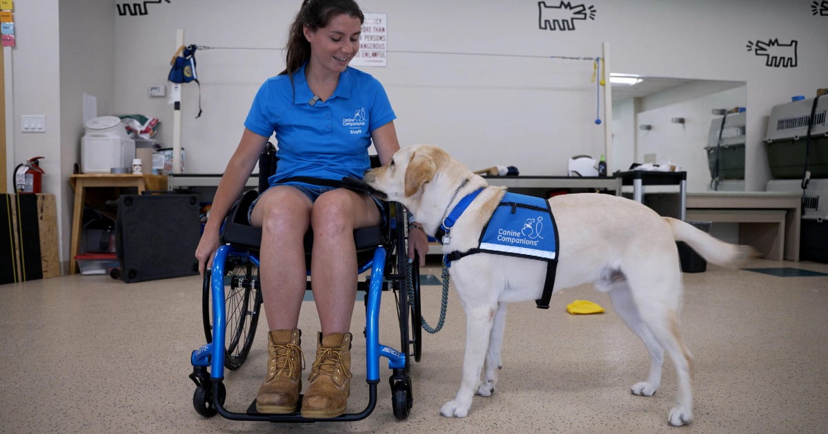 Big Ben's dogs are everywhere, serving police partners