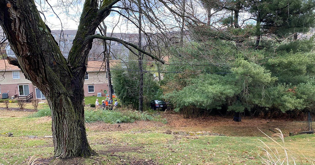 Vehicle crashes over hillside in Whitehall - CBS Pittsburgh