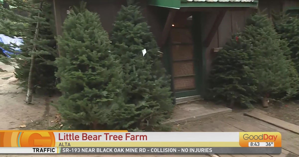 Little Bear Tree Farm in Alta Good Day Sacramento