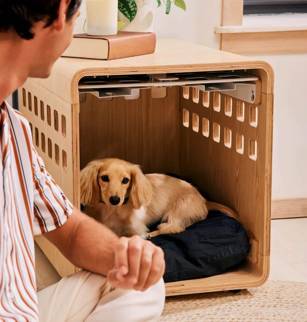 Fable dog crate