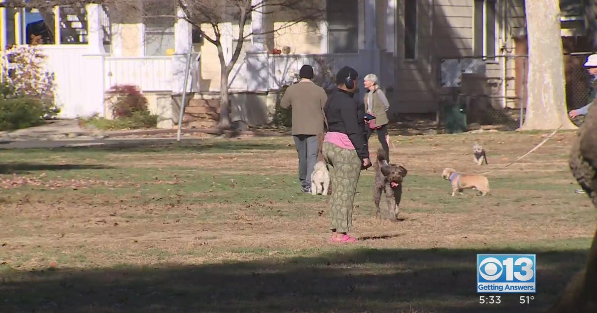 City looking to crack down on unofficial dog park in Curtis Park