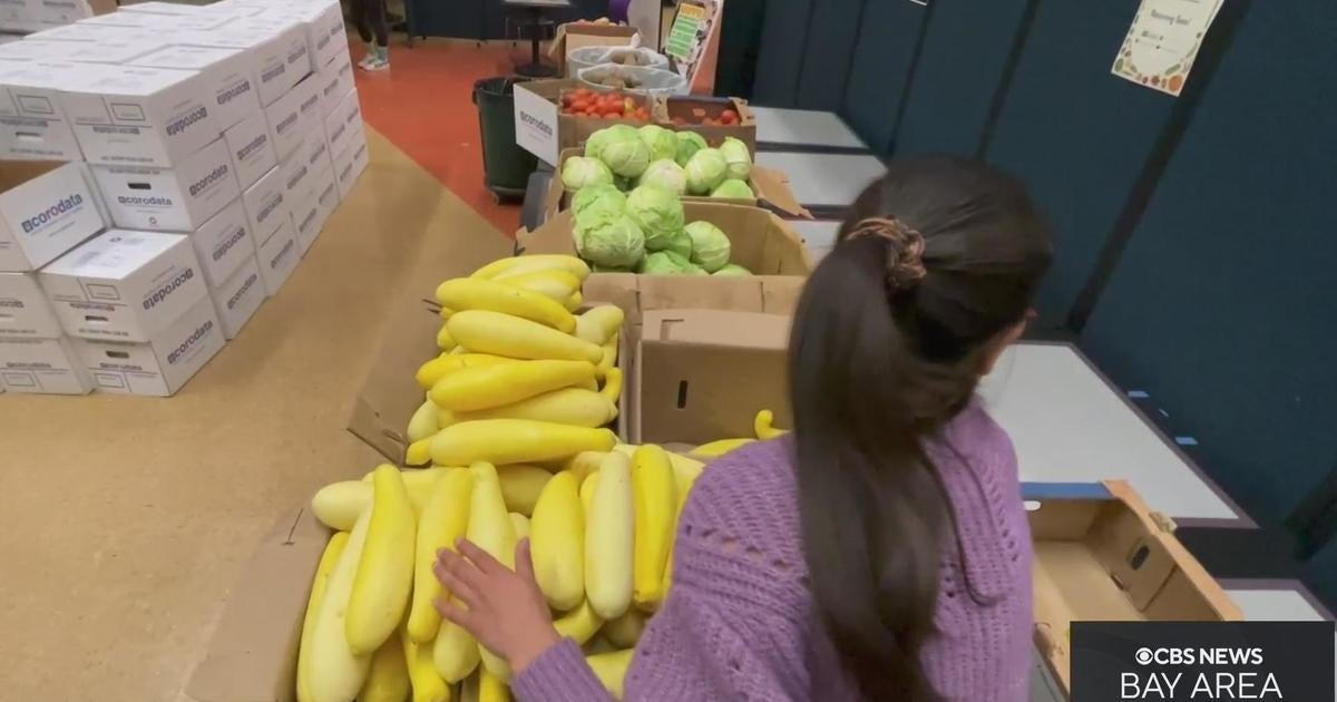 Pop up Food Pantry Helps San Francisco State Students CBS San Francisco