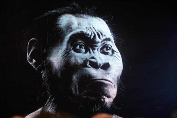 Homo Naledi, New Species, Unveiled in South Africa 