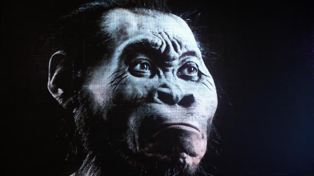 Homo Naledi, New Species, Unveiled in South Africa 
