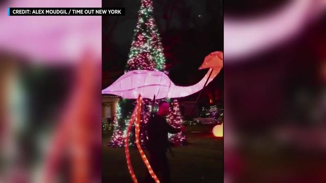A puppeteer controlling a large lighted flamingo puppet stands in front of a Christmas tree. 