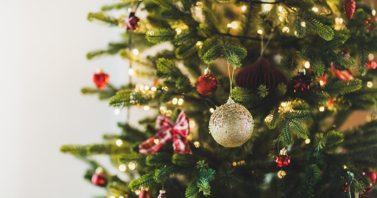 Real or artificial: Which Christmas tree is better for your wallet and the environment?
