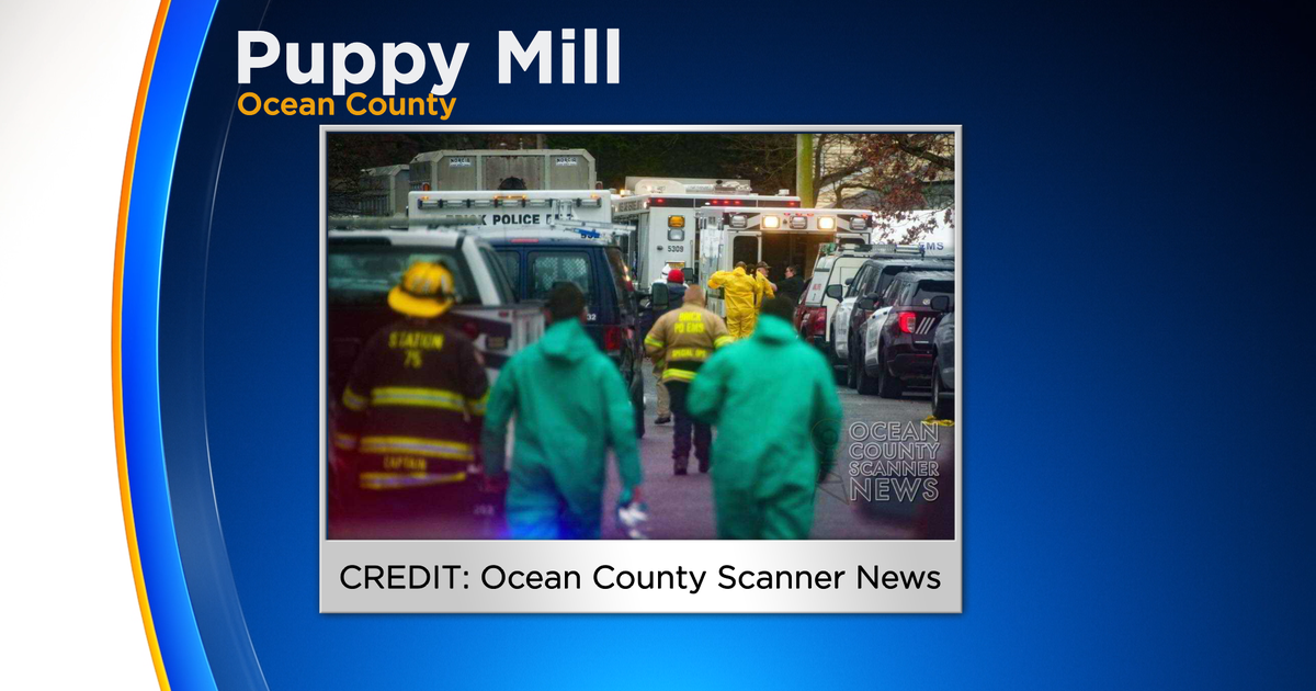 Almost 200 animals rescued from puppy mill