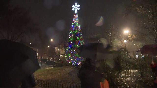 People stand under umbrella is front of a lit Christmas tree. 