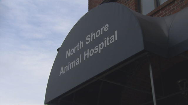 north-shore-vet-closingf-raw-frame-48015.jpg 