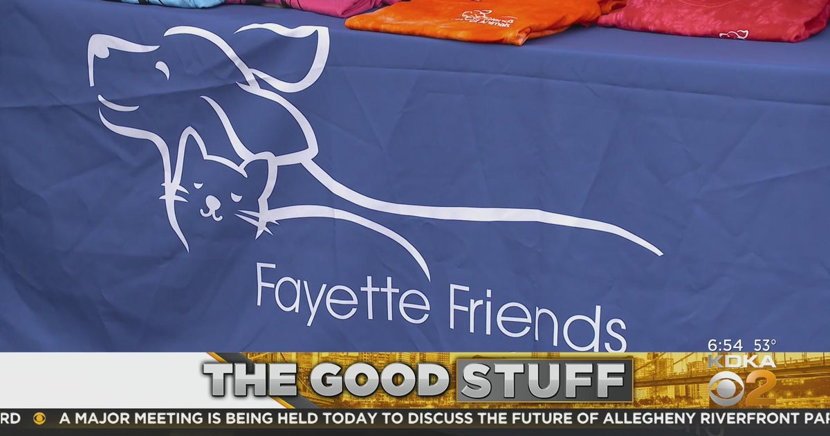 The Good Stuff Fayette Friends of Animals CBS Pittsburgh