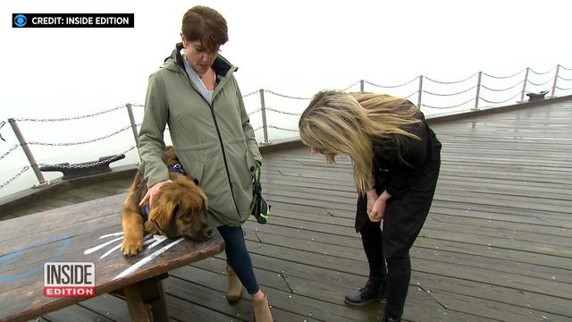 Two women stand on a pier with a dog on a bench. 