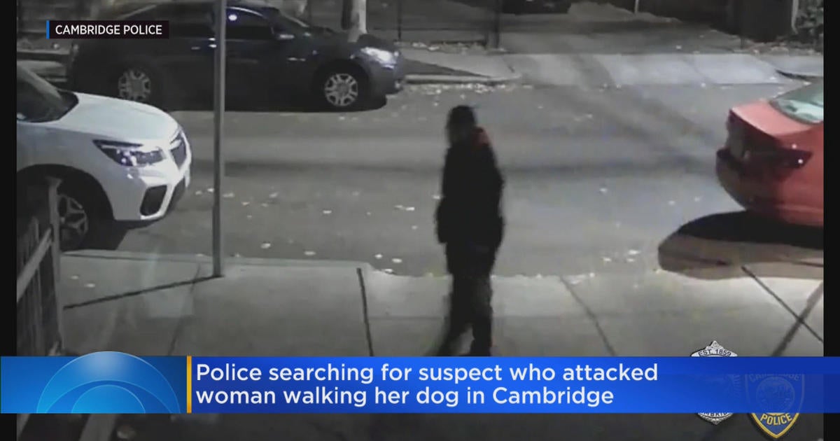 Woman Attacked While Walking Her Dog In Cambridge - CBS Boston