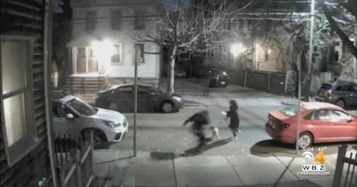 Video shows attack on Cambridge woman and her dog - CBS Boston