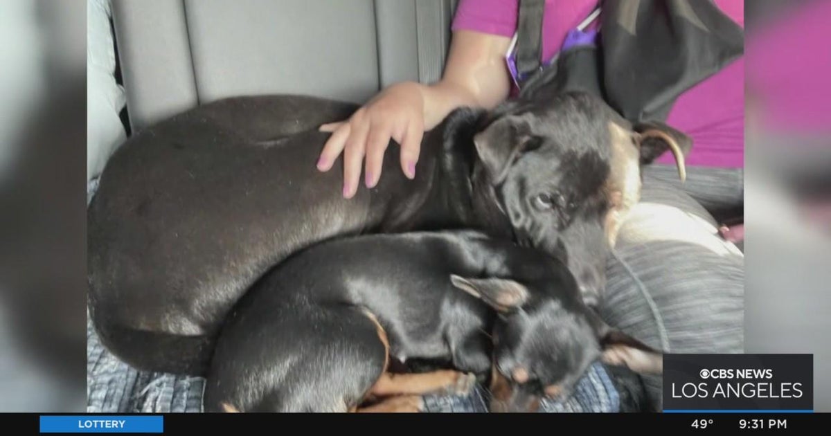 Pomona police arrest man who allegedly repeatedly shot his neighbor's ...