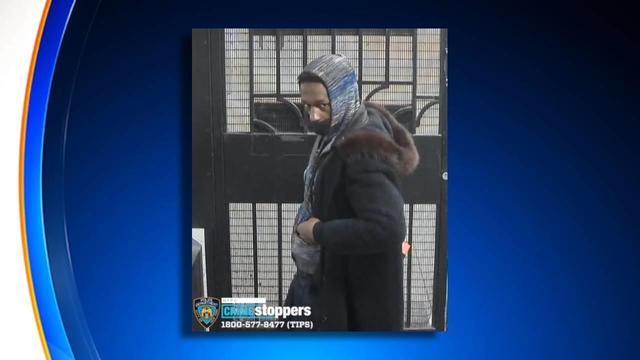 nypd-6-train-subway-slashing-suspect.jpg 