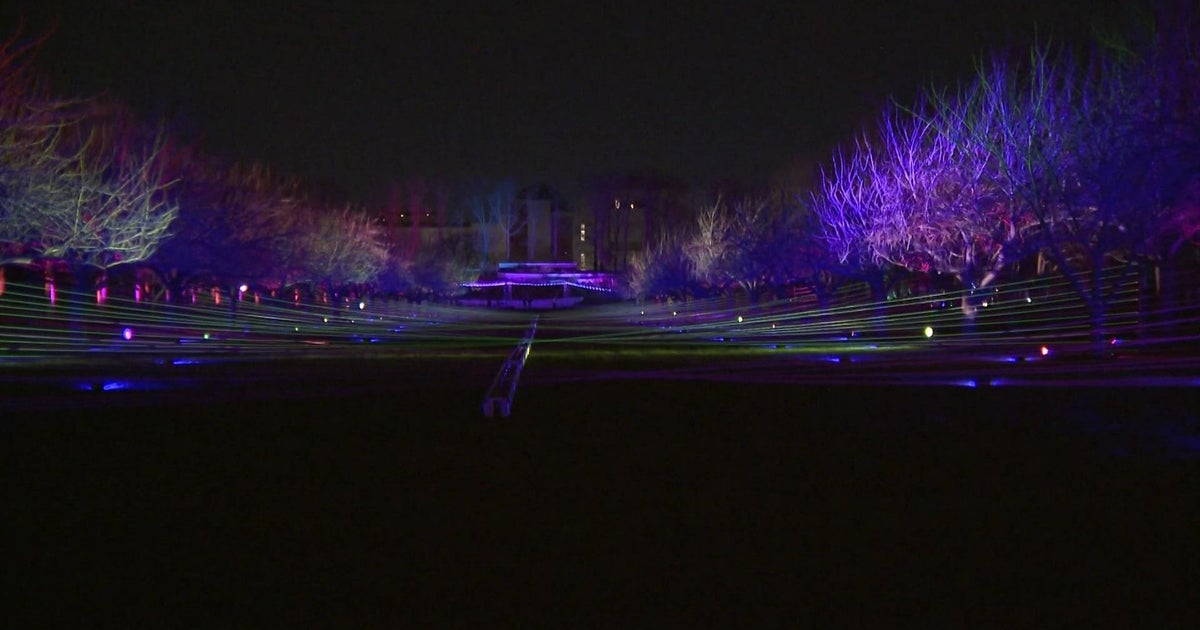 Brooklyn Botanic Garden's Lightscape show returns for the holidays