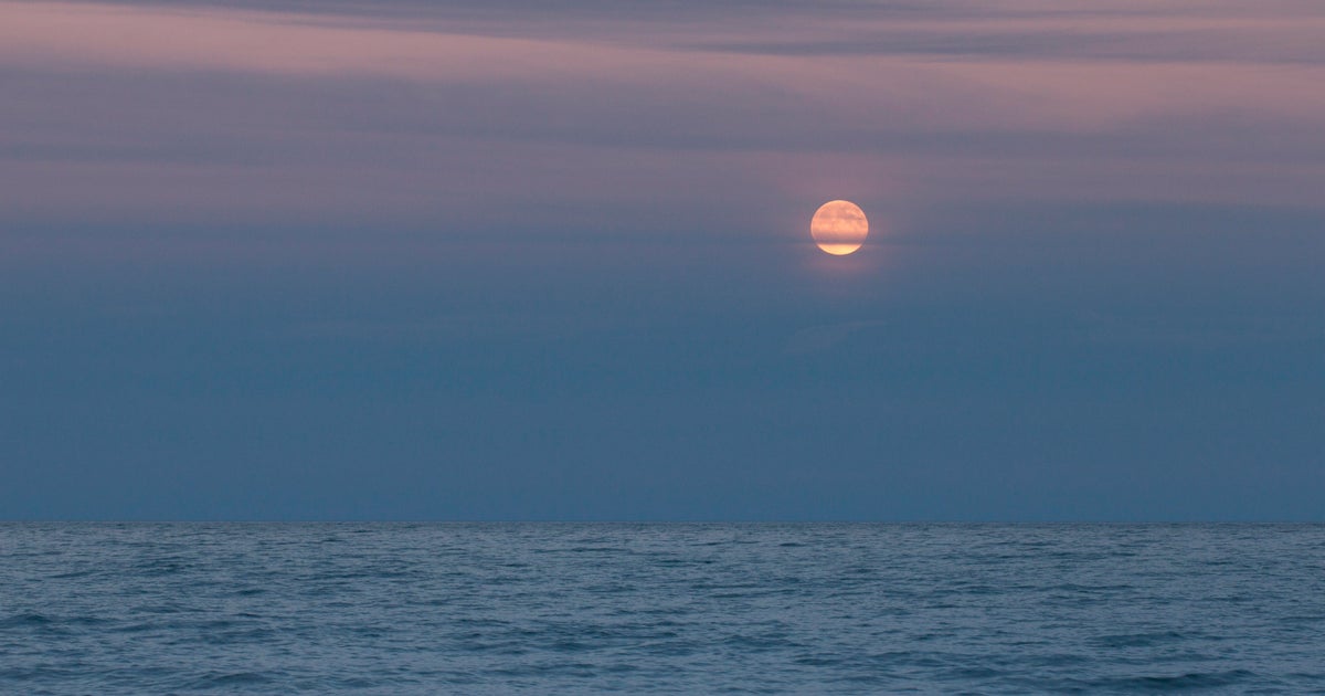 Michigan, native tribes reach new Great Lakes fishing deal CBS Detroit