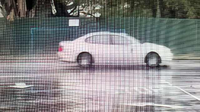 Novato Hit-and-Run Suspect 
