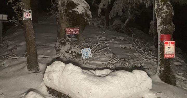 Rockslide shuts down southbound 101 in Marin; Bay Area peaks covered with snow - Vimarsana News