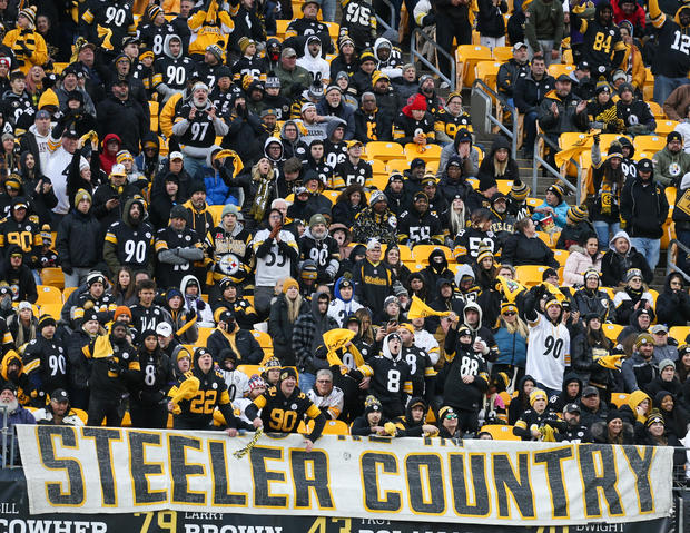 fans-with-steeler-country-sign.jpg 