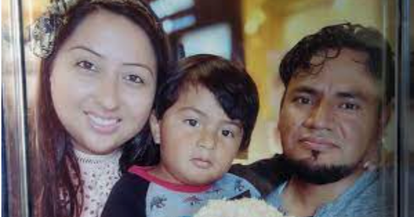 Driver reaches plea offer in demise of 2-yr-previous Homestead boy