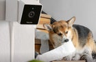 petcube-camera-hero.jpg 
