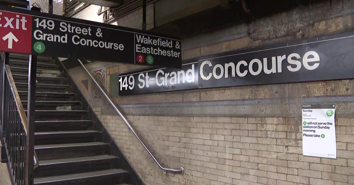 Police Mother, 2yearold son pepper sprayed by man at Bronx subway