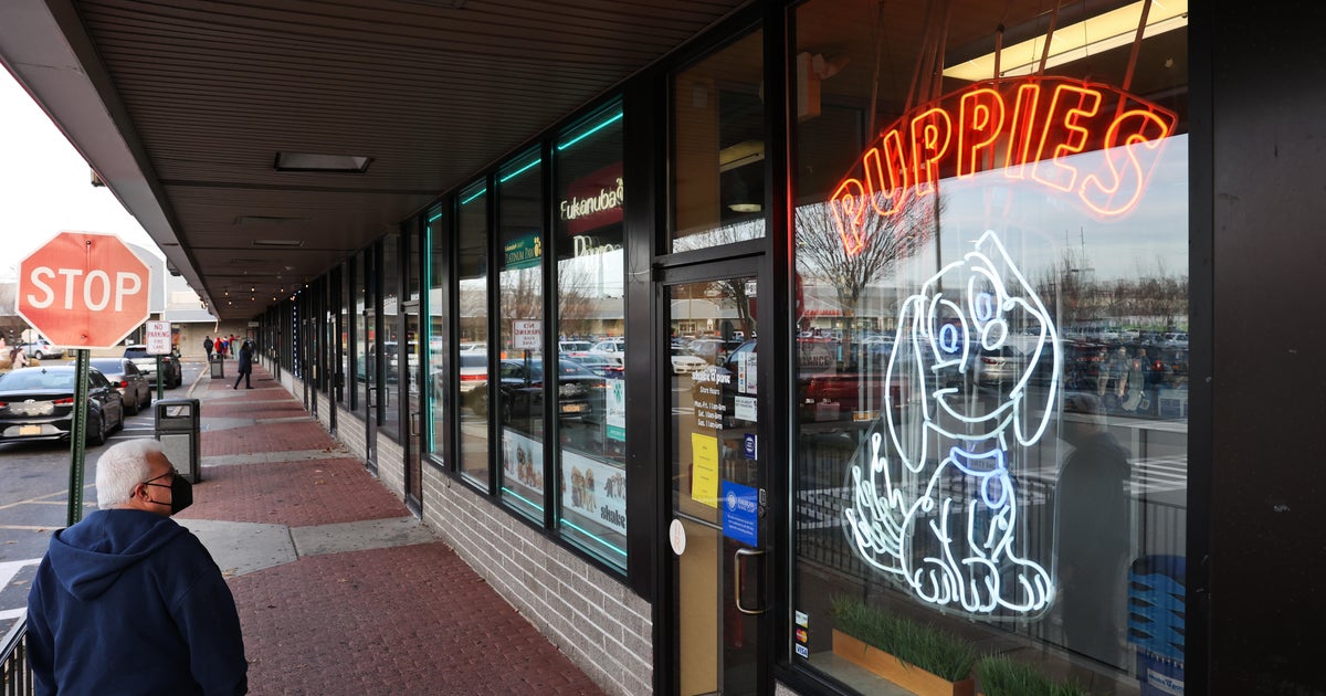 Gov. Kathy Hochul signs legislation aimed at ending puppy mill pipeline