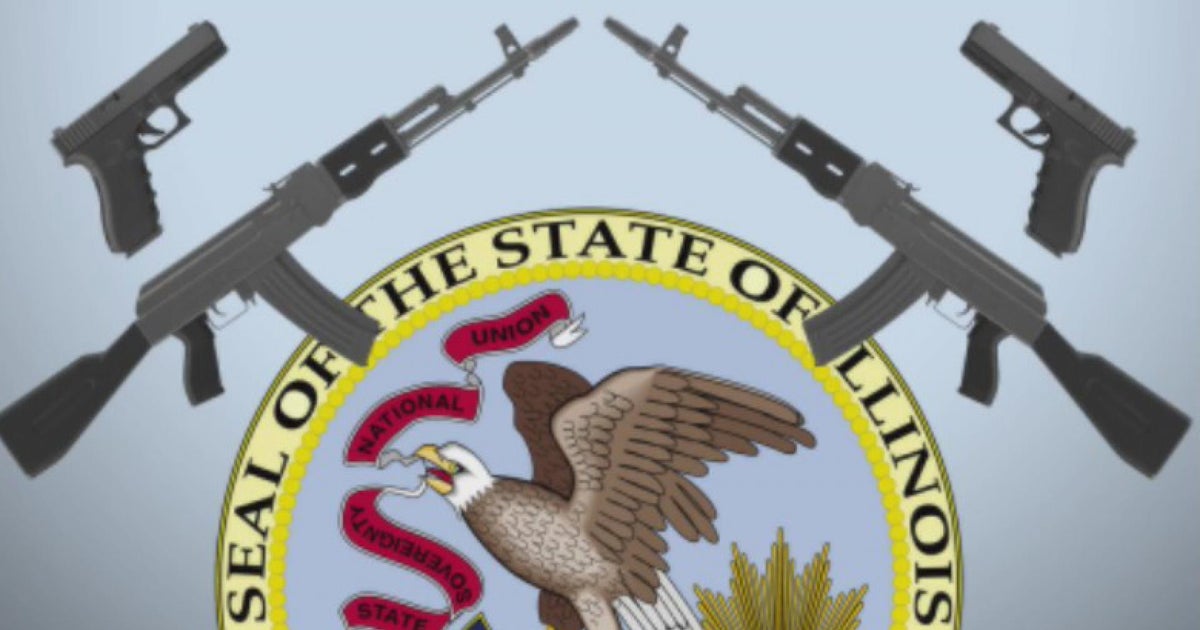 Gun violence survivors testify at Illinois House Committee hearing