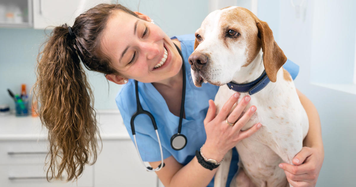 How much can you save with pet insurance?