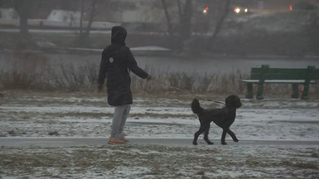 Woman walking dog in snow 