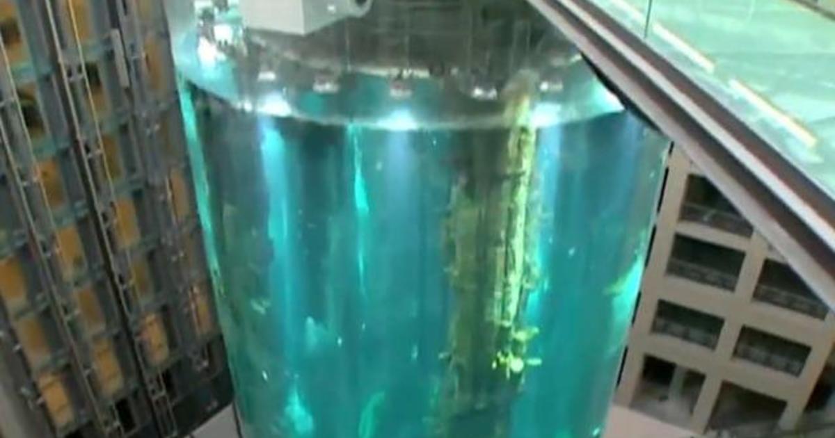 Aquarium holding 1,500 fish bursts in Berlin hotel