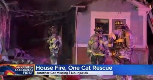 Residents displaced after house fire in Highlands ranch, 1 cat rescued ...