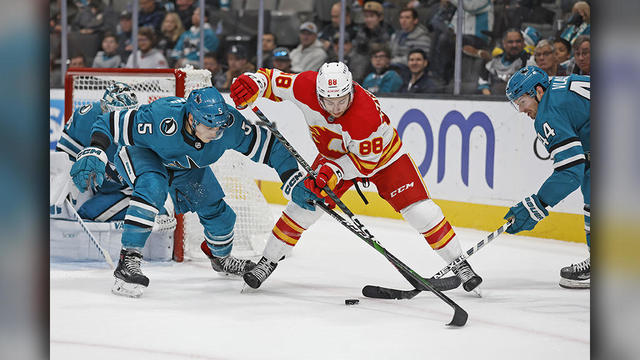 Flames Sharks Hockey 