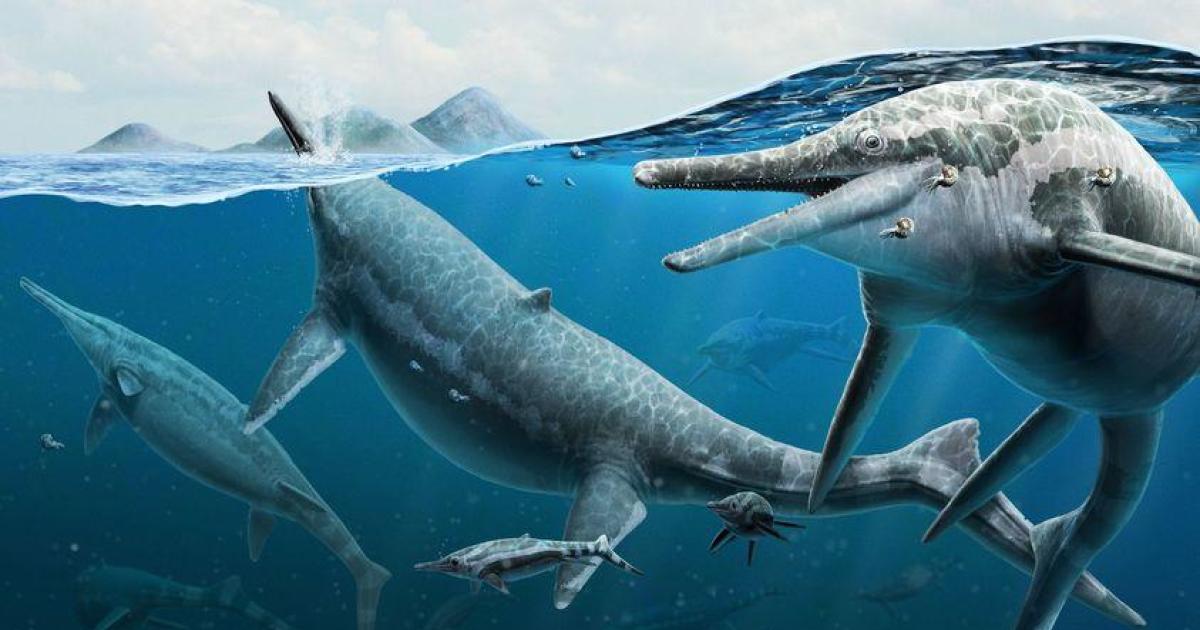 Fossils of massive ancient marine reptile found on remote Arctic island
