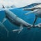 Fossils of massive ancient marine reptile found on remote Arctic island