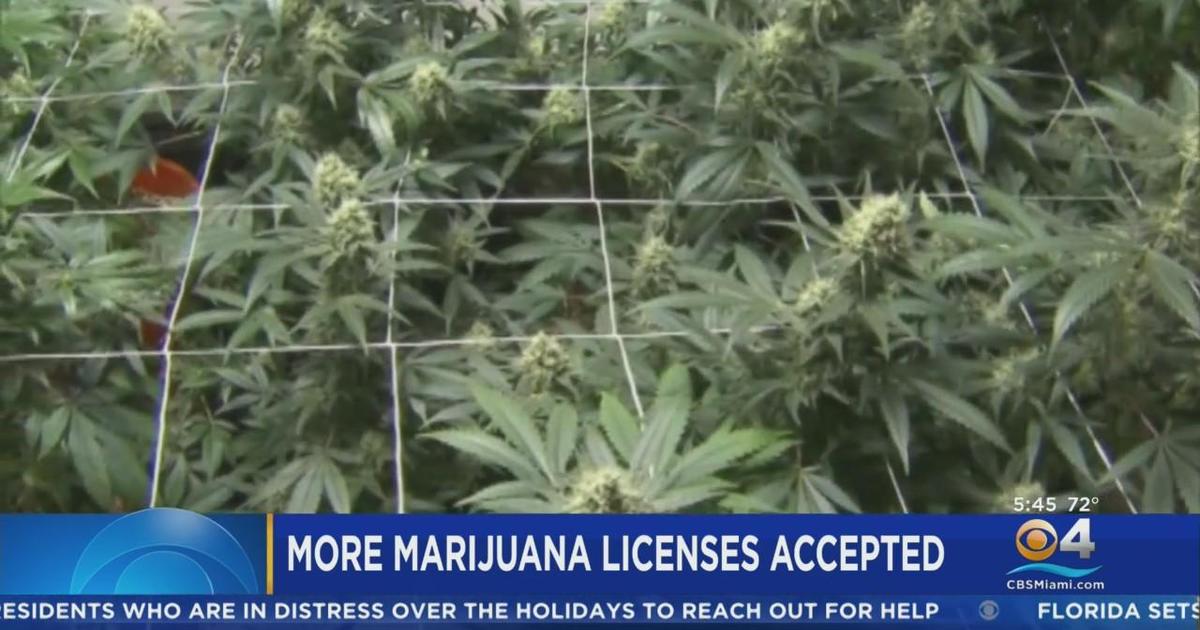 State wellness regulators established in motion a system to situation up to 22 more professional medical marijuana licenses