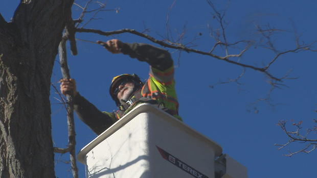 stormprepboston122122.jpg 